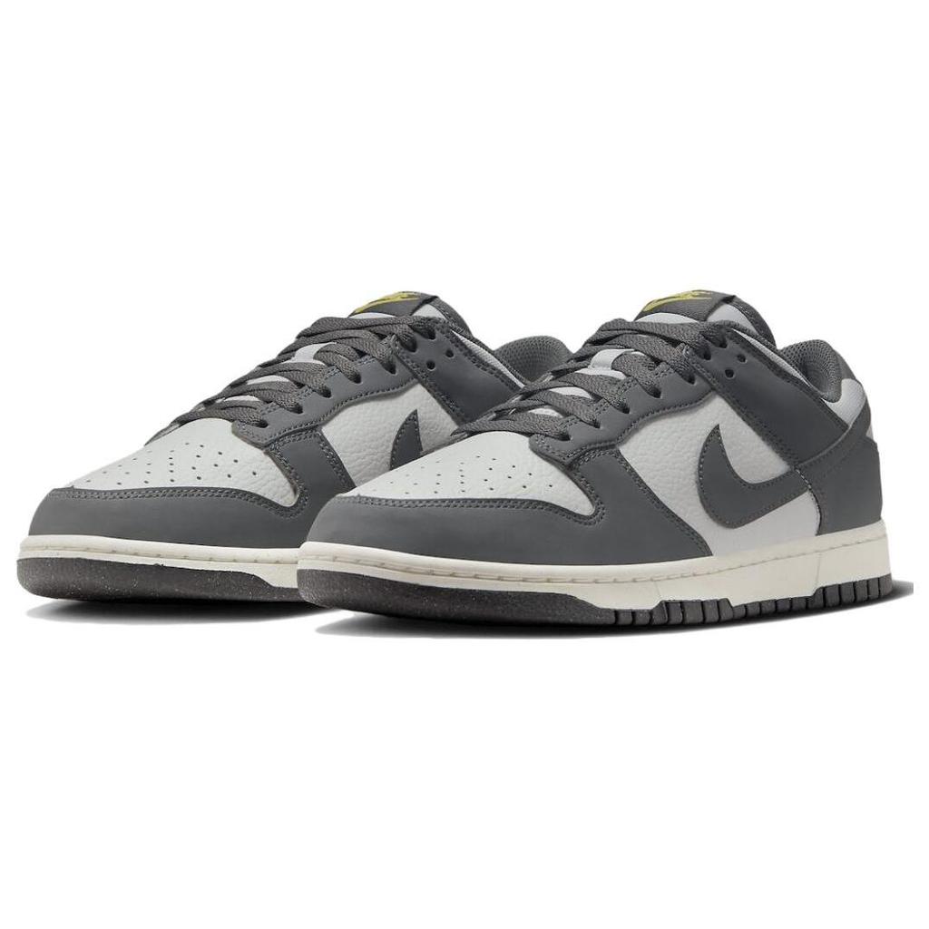 Nike Dunk Low Next Nature Серый Железный FZ4621-001
