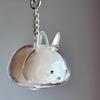 1/4Pcs Pet Rabbit Hair Keychain Keepsake Capsule Memorial Pendant Hair Storage Bottle Transparent Pet Hair Key Chain