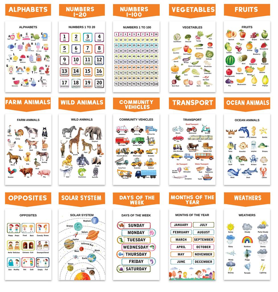 Traceease Образовательный плакат для начальной школы, упаковка из 25 ламинированных детских обучающих плакатов