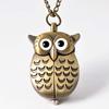 Antique Bronze Owl Pocket Watch 6104