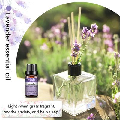 Домашняя ароматерапия Ротанговый тростник Ароматическое масло Диффузор Бутылка для ароматерапии Диффузор свежести воздуха Декор для дома и офиса Эфирное масло Ароматерапия
