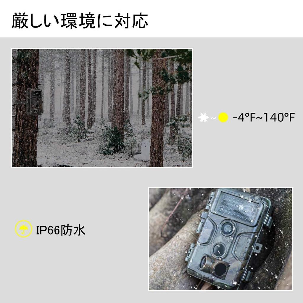 Blazevideo Trail 2 Pieces 1296P Motion Security Wildlife Surveillance Night Vision Shooting 48 Million IP66 PIR Invisible At Equipped with Infrared