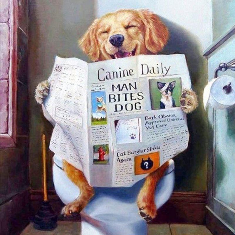 Наборы алмазной вышивки 5D