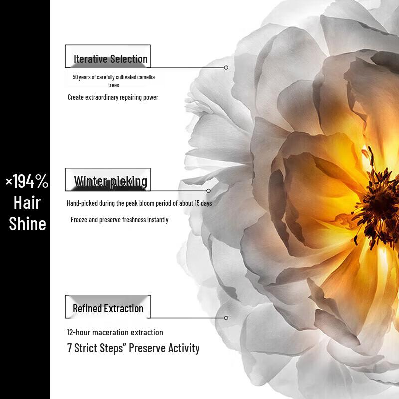 Kérastase Genesis Shampoo & Elixir Ultime Hair Oil Set