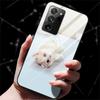 Для OPPO A74 Чехол Закаленное Стекло Жесткая Задняя Крышка Чехол Для OPPO A54 5G F19 A74 Чехол для Телефона Чехол A 74 A 54 Funda Противоударный Бампер