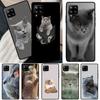 British Shorthair Cat Cover For Samsung Galaxy A52S A12 A22 A32 A52 A72 A21S A03S A50 A70 A71 A51 A33 A53 Case