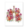 Anatomy Flower Organ Wall Art Poster Prints Brain Heart Skull Kidney Skeleton Canvas Painting Nordic Wall Pictures Office Decor