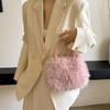 Winter Plush Evening Crossbody Bag: High-Quality Women's Handbag & Versatile Shoulder Bag