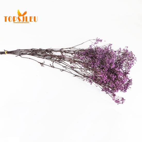 Букет эониума, сушеные цветы, яркий цвет, не выцветает, простота в уходе, натуральная сушеная гипсофила, сцена украшения ко Дню святого Валентина.