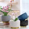 Large Creative Ceramic Flower Pot with Tray - Ideal for Chlorophytum & Succulents