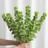 3PCS Simulated Shell Leaf Artificial Flower Bell Grass Flower Bells of Ireland Arrangement Home Office Arrangements Indoor Outdoor Decoration