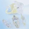Educational Dog Tooth Model Dog Cat Rabbit Cat Clear Typodont Dental Teaching Canine  Clinic