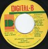 7-дюймовая пластинка GARNETT SILK Splashing Dashing NONE DigitalB 1994 Ямайка Регги Ска Даб Б/у