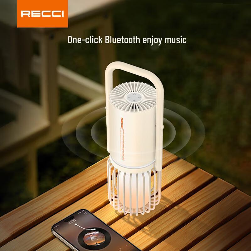 RECCI RLS-L18 Портативная Bluetooth-колонка для улицы CN-вилка (адаптер в комплекте)