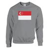 Толстовка - PIXELFORMA - Drapeau de Singapour - Gris - Manches longues - Col classique