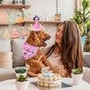 Adjustable Pet Birthday Caps Sequins Cat Triangle Scarf Dog Birthday Bib  Pet Birthday Party