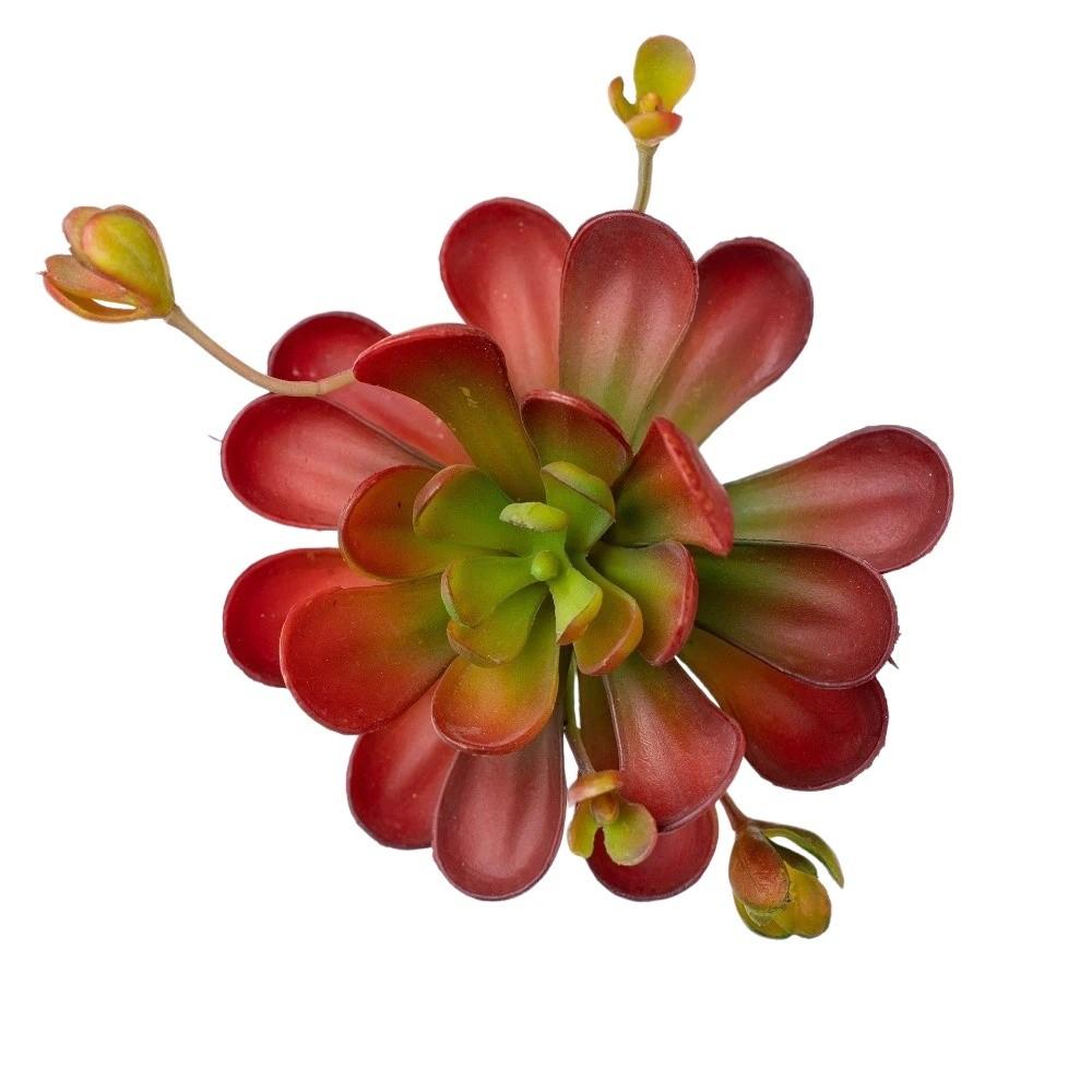 Fleshy Artificial Succulent Plant Lifelike Real Touch Fake Cactus Plastic Realistic Simulation Bonsai Plant Balcony Decoration