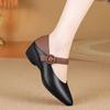 Autumn Retro Style Thick Heel Pointed Head Elegant Shallow Mouth Single Shoes Season New Two Wear Wedge Heel Shoes