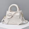 2024 New Fashion High-end Internet Celebrity Fashion Single Shoulder Handbag Women's Crossbody Bag