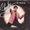 7-дюймовая пластинка SHAKIN' STEVENS - It's Raining EPCA1643 Epic 1981 UK Рок Б/У