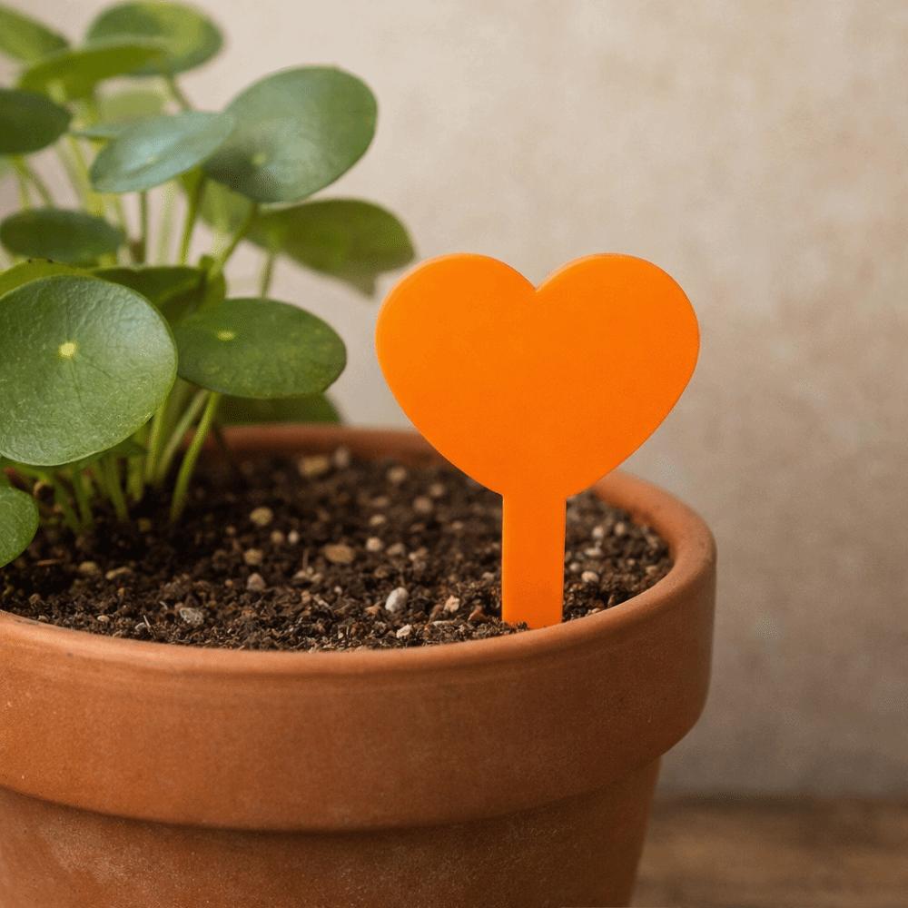 100PCS Heart Shaped Plant Labels Tags Reusable Succulent Signage Garden Flower Pots