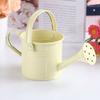 Large Capacity Mini Metal Watering Can Thickened Sprinkler Durable Water Spraying Pot  Gardening
