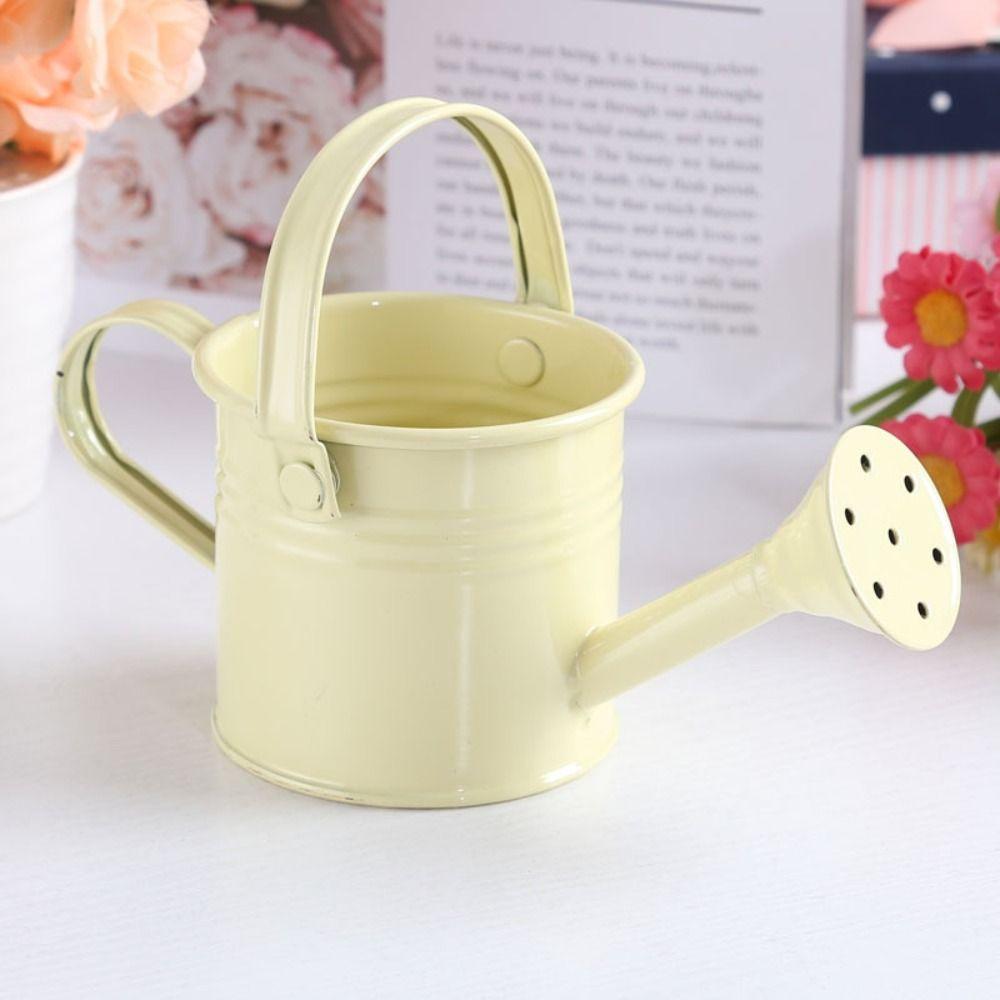 Large Capacity Mini Metal Watering Can Thickened Sprinkler Durable Water Spraying Pot  Gardening