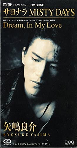 CD RYOSUKE YAJIMA TAKESHI HAYAMA Goodbye MISTY DAYS BMDR146 1992 Japan Japanese Others Used