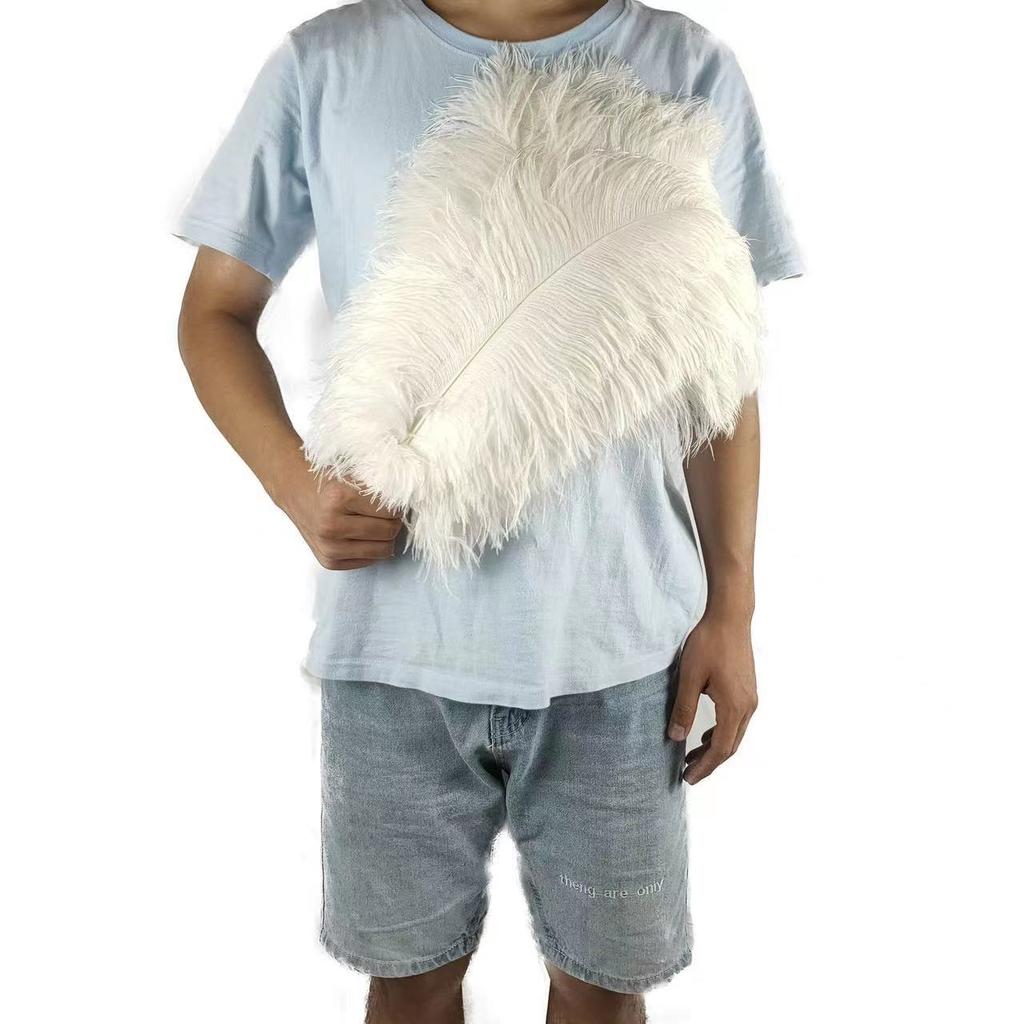 10PCS 45-50cm Colorful Big Feathers Ostrich Table Flower Table Flower Wedding Decoration Ostrich Feathers