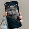 Чехол для телефона с изображением британской короткошерстной кошки Черный Мягкий Силиконовый ТПУ Чехол для телефона Для IPhone 11 12 13 14 15 16 17 Pro Plus Mini Max