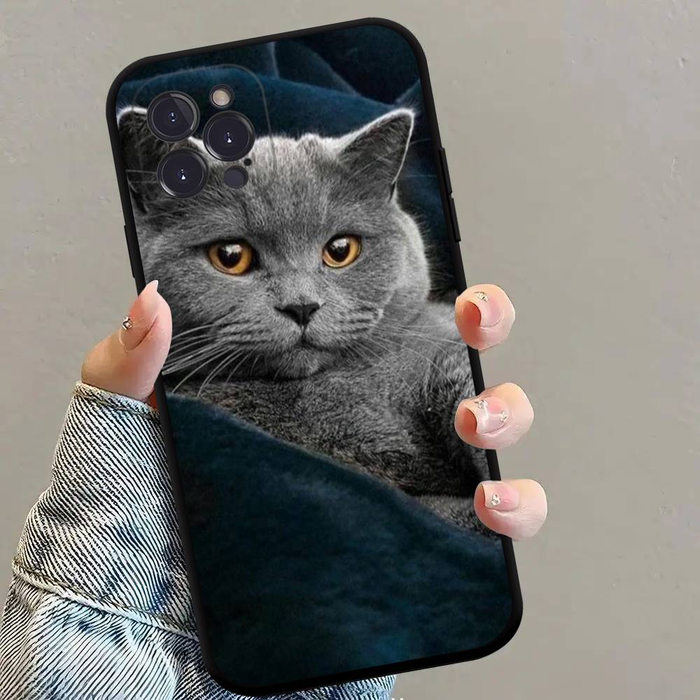 Чехол для телефона с изображением британской короткошерстной кошки Черный Мягкий Силиконовый ТПУ Чехол для телефона Для IPhone 11 12 13 14 15 16 17 Pro Plus Mini Max