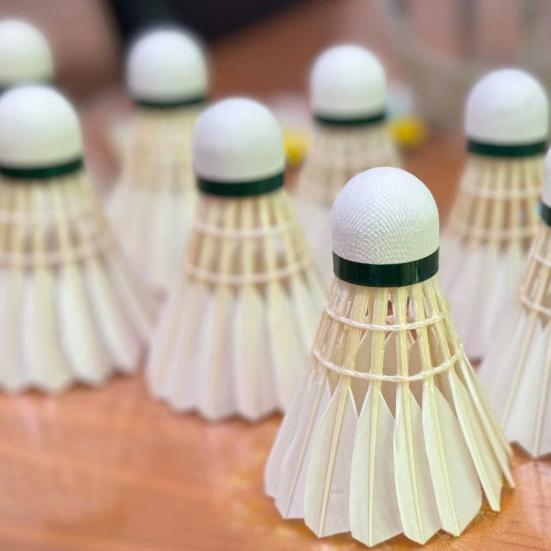 12 шт. Профессиональные воланы для бадминтона Турнирный класс Тренировочные воланы для бадминтона Высокоскоростные Стабильный полет Спортивные аксессуары