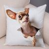 Cute Pet Animal Pillowcase Decorative Cute Puppy Chihuahua Pillowcase Soft Plush Cushion Cover for Car Sofa Home 45x45cm