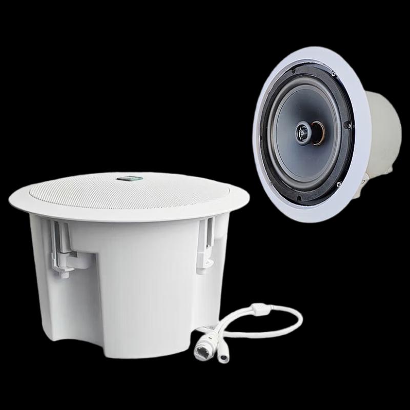 Lingque AM2991 Emergency Broadcast IP Ceiling Speaker CN plug (adapter included) (CN version)