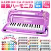 Hobinavi Keyboard Harmonica 32 Keys for Elementary School Kindergarten Children Lightweight Melody Winding Mouth Hose Table Play Standing Case