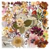 50Pcs/Set Wabi-sabi. Retro Flowers & Leaves Series 04 PET Stickers Waterproof DIY Fashion Doodle Decals Stickers