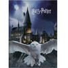 Ensemble Coussin + Plaid Harry Potter