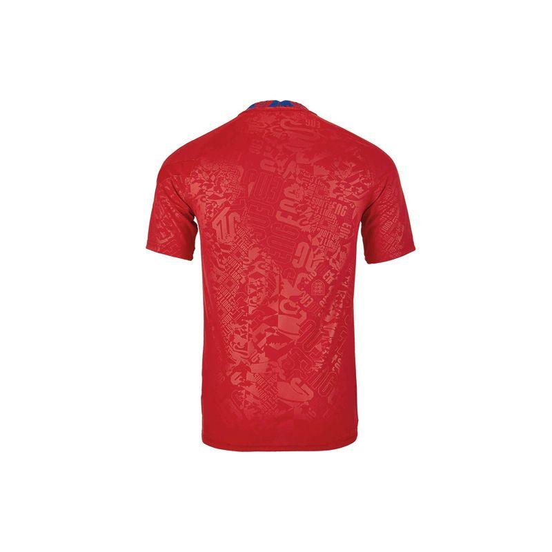 Мужские футбольные майки с короткими рукавами Nike England Team Training Match красные CD2577-600