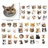 50 Emoticon Pack Kitten Stickers Pack Stickers DIY Creative Stickers Suitcase Mobile Phone Stickers