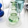 Террариум Домашнее украшение Двойная стенка Ваза для цветов Гидропонная прозрачная стеклянная ваза Стеклянная бутылка для растений