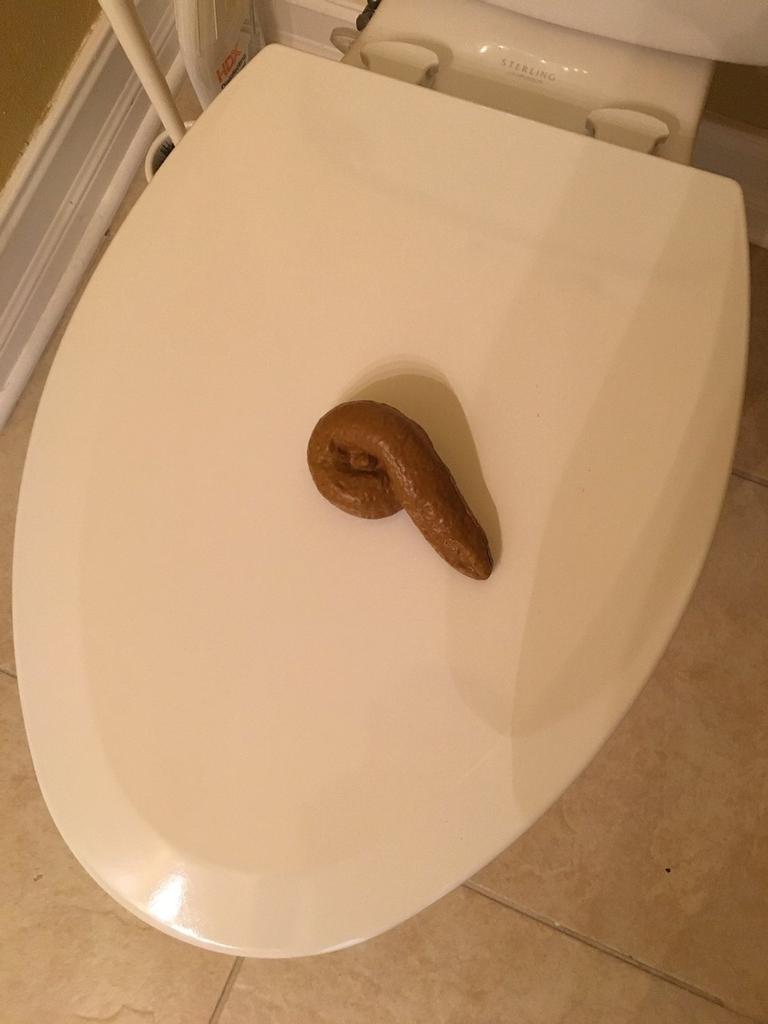 Искусственная человеческая какашка