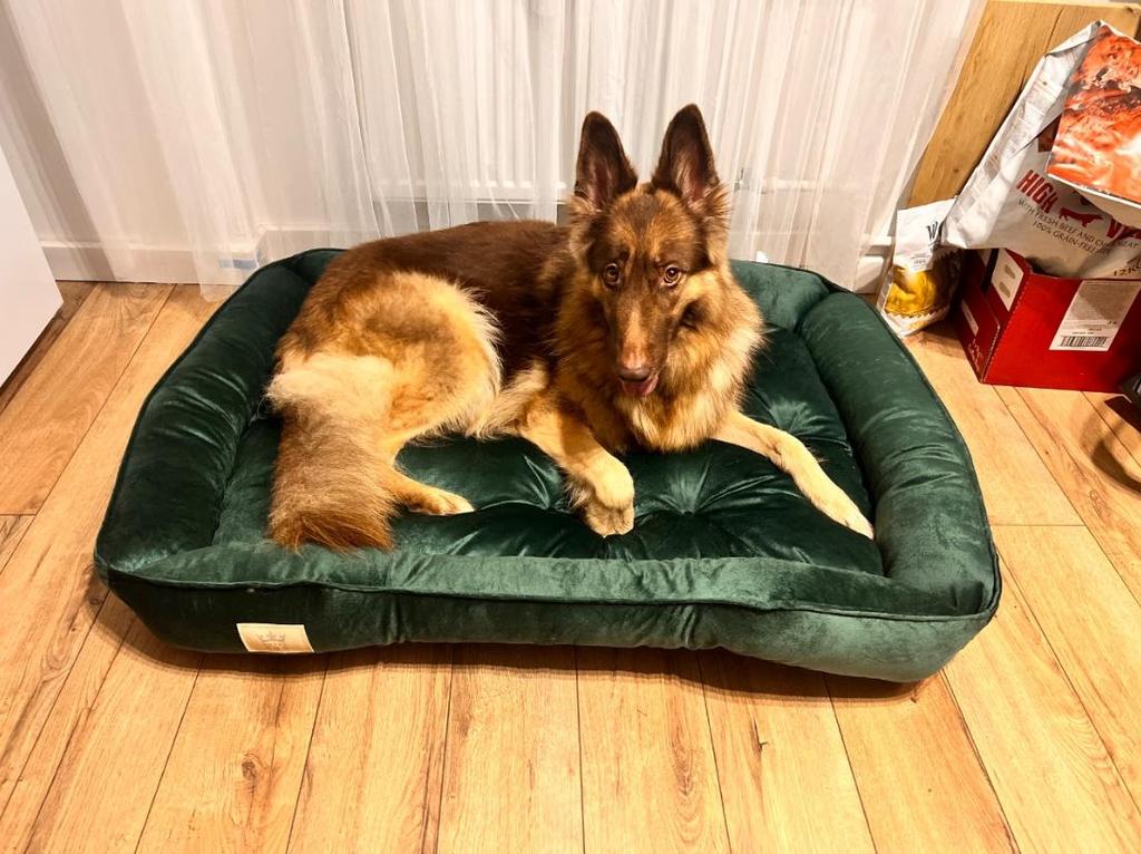 Велюровый лежак для собаки кошки Подстилка Диван Манеж Зеленый Серый 4 размера