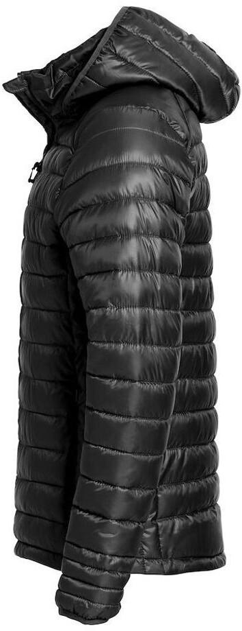 Winter Jacket Clique Hudson Steppjacke Black