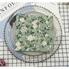 20pcs/Pac 33*33cm 2-Ply Disposable Party Napkin Floral Pattern
