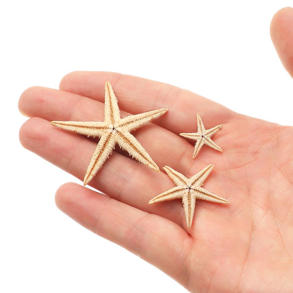 Вечерние свадебные украшения, смешанные морские звезды-натуральные аксессуары ручной работы, океанский декор, ракушки, морские звезды