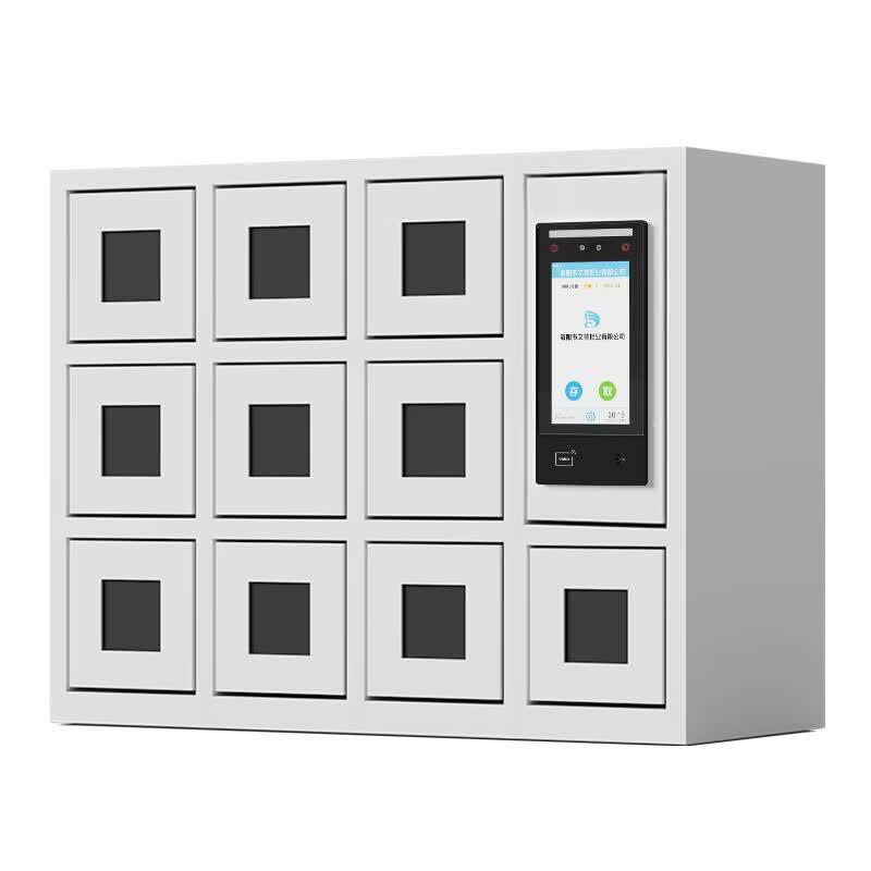 10-Door Smart Face Recognition Phone Charging Locker