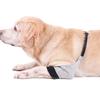 Dog Leg & Elbow Injury Protector Knee Pads - Cold-Proof, Warm, Protective Gear for Pets