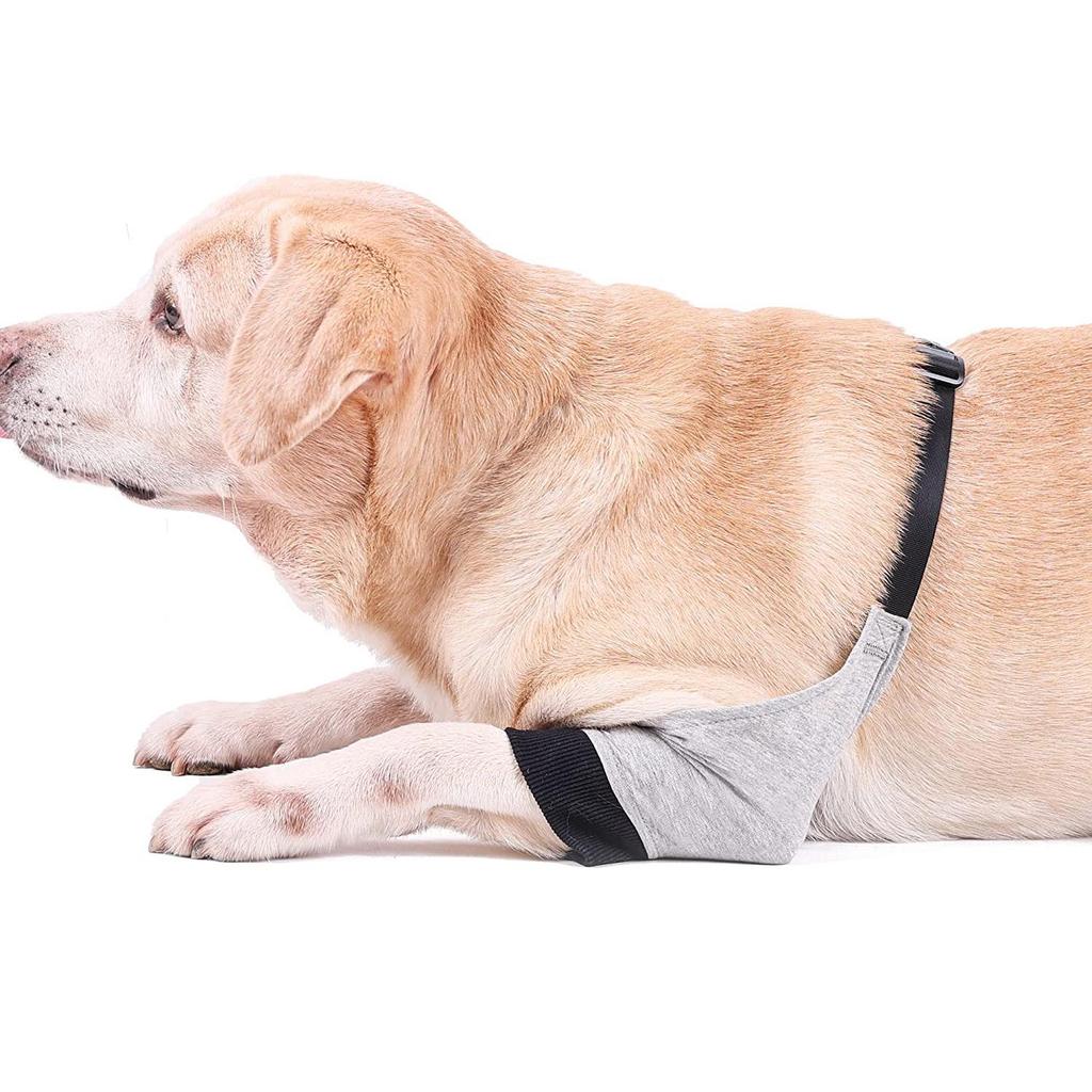 Dog Leg & Elbow Injury Protector Knee Pads - Cold-Proof, Warm, Protective Gear for Pets