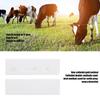 Cow Pregnancy Test Strip Disposable Pregnant Diagnosis Testing Tool Livestock Veterinary Equipment