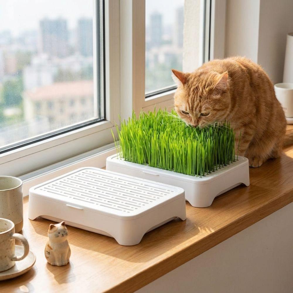 Анти-вытягивание Горшок для кошачьей травы Самопосадочный лоток Горшок для ростков пшеницы Горшок для выращивания Внутреннее выращивание